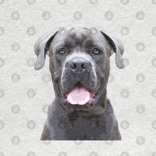 Cane Corso Dog by ElegantCat